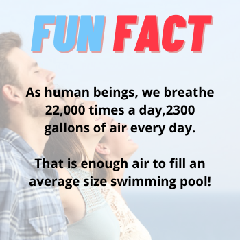Fun Fact - EZ Breathe Ventilation